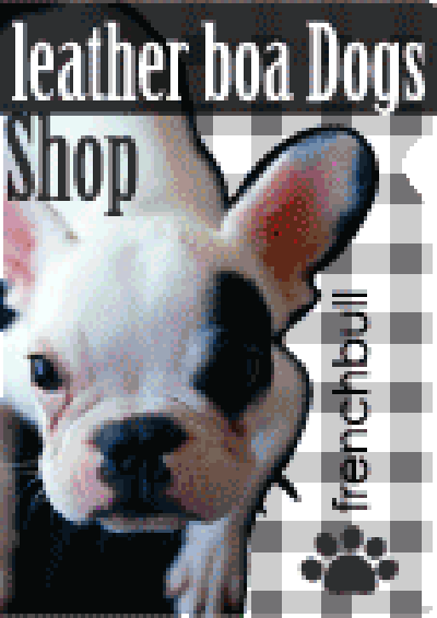 オリジナルクリアファイル